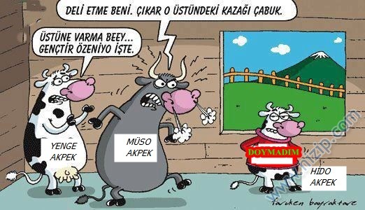 Sütaş karikatürleri Nizip.com'da Olursa.