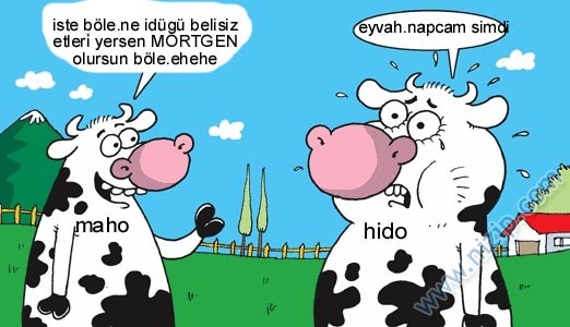 Sütaş karikatürleri Nizip.com'da Olursa.