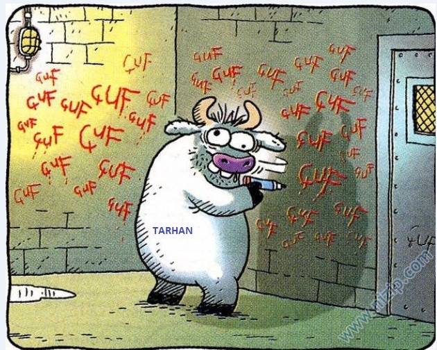 Her güne bir komiklik!.. :))