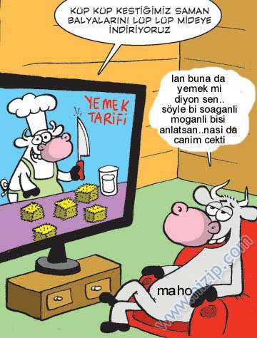 Sütaş karikatürleri Nizip.com'da Olursa.