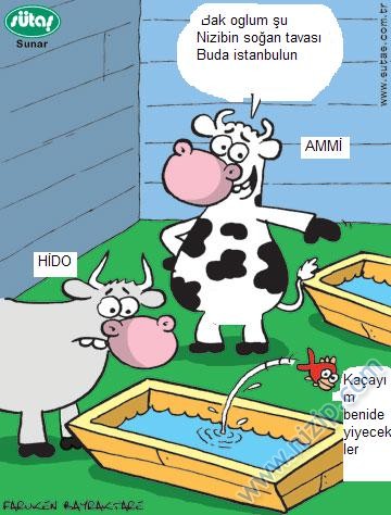 Sütaş karikatürleri Nizip.com'da Olursa.