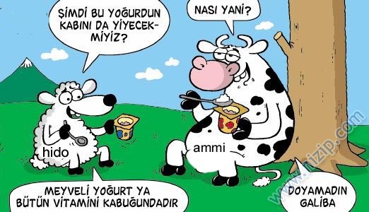 Sütaş karikatürleri Nizip.com'da Olursa.