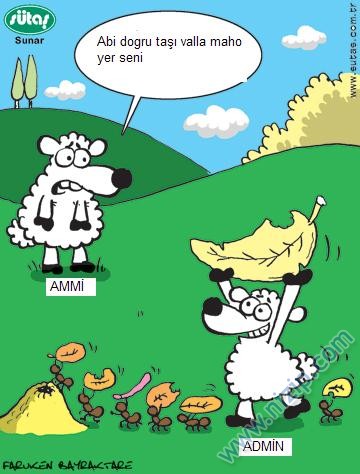 Sütaş karikatürleri Nizip.com'da Olursa.