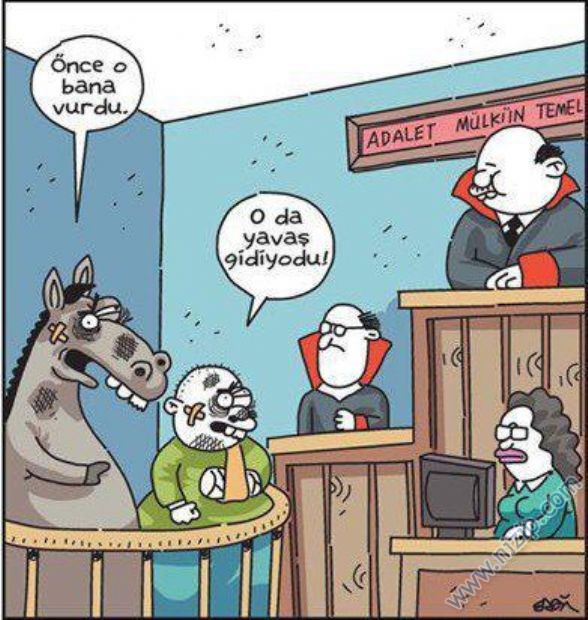 Her güne bir komiklik!.. :))