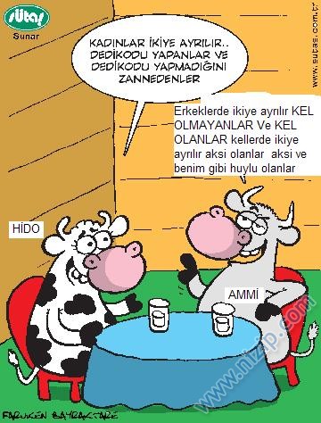 Sütaş karikatürleri Nizip.com'da Olursa.