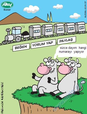 Sütaş karikatürleri Nizip.com'da Olursa.