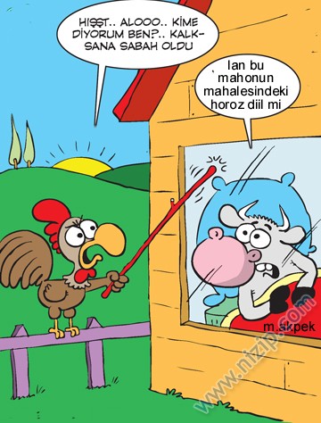 Sütaş karikatürleri Nizip.com'da Olursa.