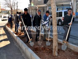 Yeşil Alanlarda Toprak Havalandırma Çalışması Yeşil Alanlarda Toprak Havalandırma Çalışması