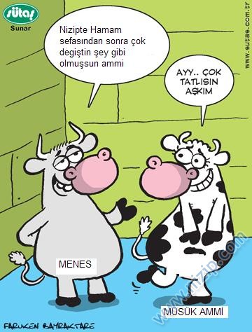 Sütaş karikatürleri Nizip.com'da Olursa.