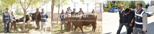 Çalıntı Minibüs ile Hayvan Hırsızlığı İddiası