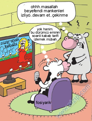 Sütaş karikatürleri Nizip.com'da Olursa.