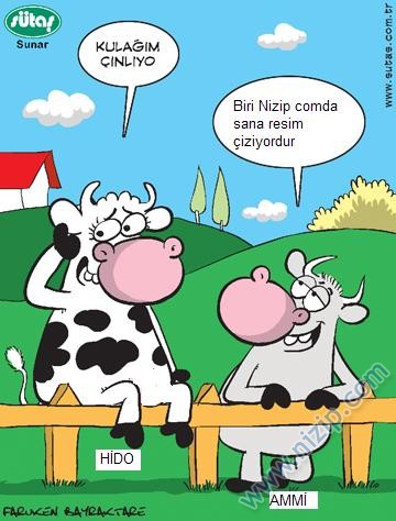Sütaş karikatürleri Nizip.com'da Olursa.