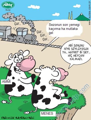 Sütaş karikatürleri Nizip.com'da Olursa.