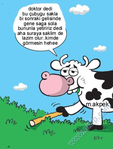 Sütaş karikatürleri Nizip.com'da Olursa.
