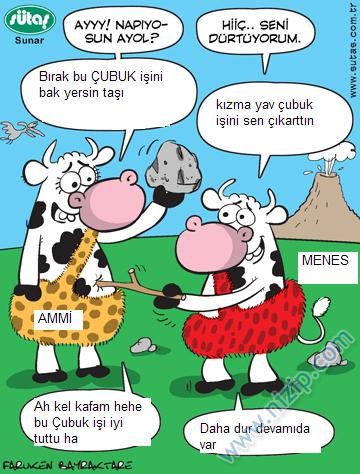 Sütaş karikatürleri Nizip.com'da Olursa.