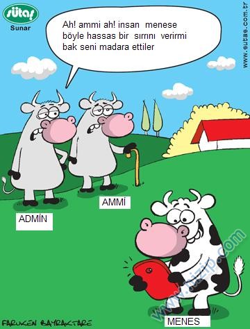 Sütaş karikatürleri Nizip.com'da Olursa.