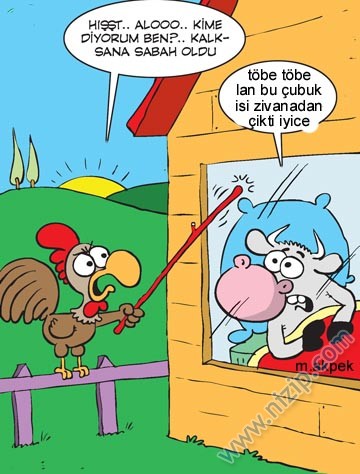 Sütaş karikatürleri Nizip.com'da Olursa.