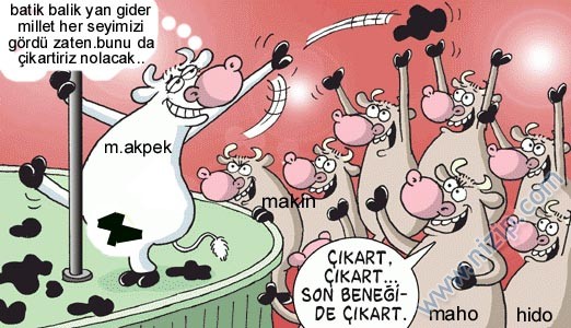 Sütaş karikatürleri Nizip.com'da Olursa.