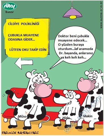 Sütaş karikatürleri Nizip.com'da Olursa.