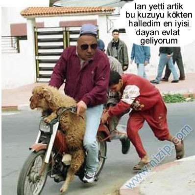 Ramazan Tarhan ve Zavallı Ben..