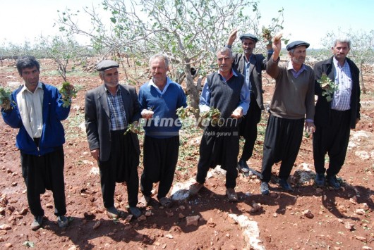 Dolu Afeti Yaşayan Köylerde İnceleme Dolu Afeti Yaşayan Köylerde İnceleme