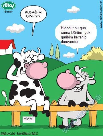 Sütaş karikatürleri Nizip.com'da Olursa.