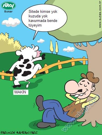 Sütaş karikatürleri Nizip.com'da Olursa.
