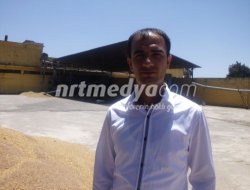 Mercimek Sezonu Açıldı Mercimek Sezonu Açıldı