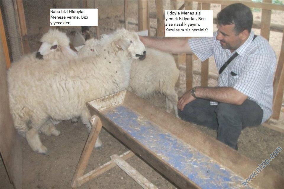 Sütaş karikatürleri Nizip.com'da Olursa.