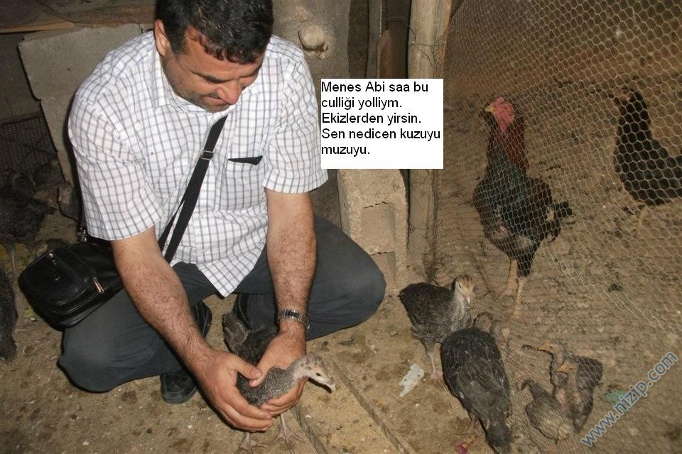 Sütaş karikatürleri Nizip.com'da Olursa.