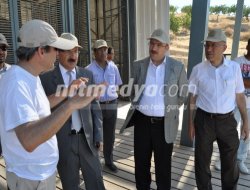 Sarı ve Karadeniz "Zeugma Kazı Alanı"nda