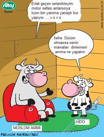 Sütaş karikatürleri Nizip.com'da Olursa.