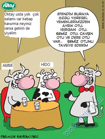 Sütaş karikatürleri Nizip.com'da Olursa.