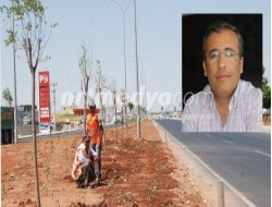 Duble Yolda Ağaçlandırma Çalışması