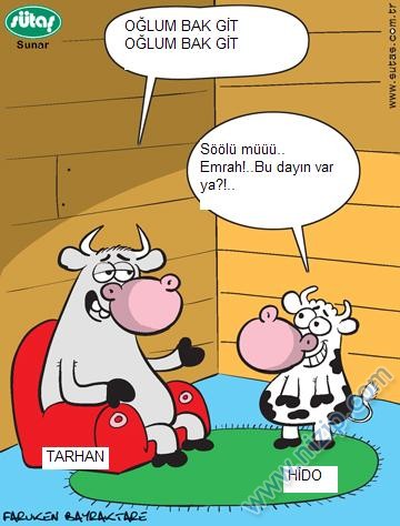 Sütaş karikatürleri Nizip.com'da Olursa.