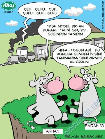 Sütaş karikatürleri Nizip.com'da Olursa.