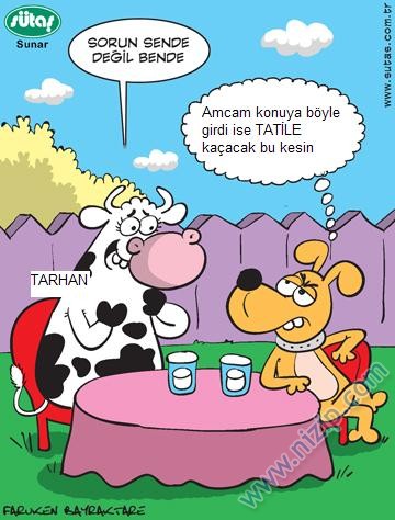 Sütaş karikatürleri Nizip.com'da Olursa.
