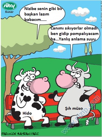 Sütaş karikatürleri Nizip.com'da Olursa.