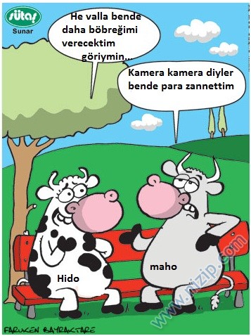 Sütaş karikatürleri Nizip.com'da Olursa.