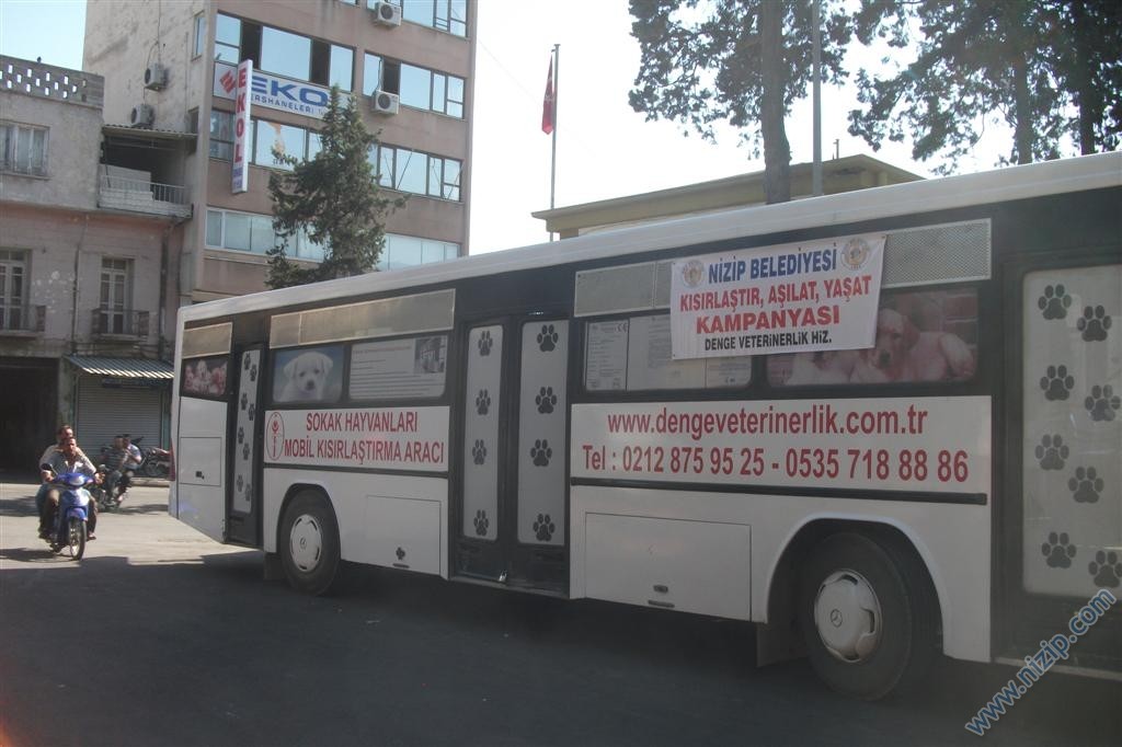İyilik mi? kötülük mü?