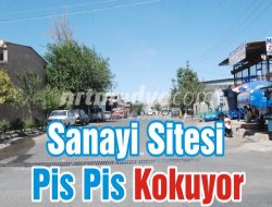 Sanayi Sitesi Pis Pis Kokuyor