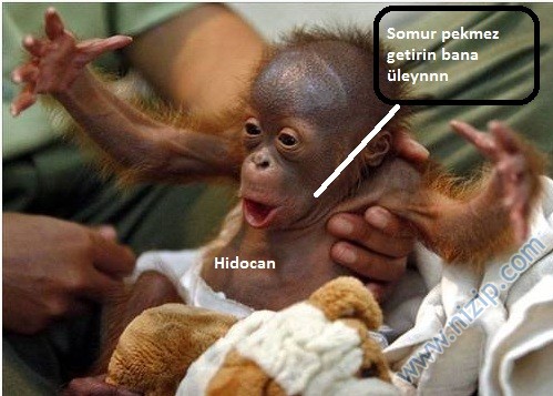 Somur  bitmez