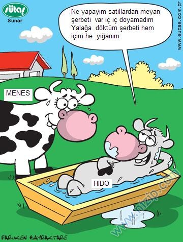 Sütaş karikatürleri Nizip.com'da Olursa.