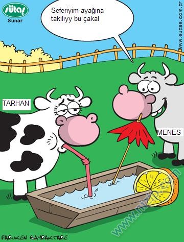 Sütaş karikatürleri Nizip.com'da Olursa.