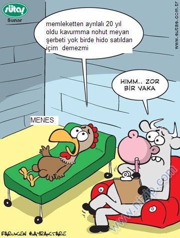 Sütaş karikatürleri Nizip.com'da Olursa.