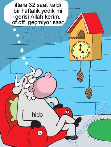Sütaş karikatürleri Nizip.com'da Olursa.