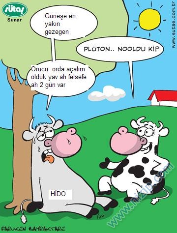 Sütaş karikatürleri Nizip.com'da Olursa.