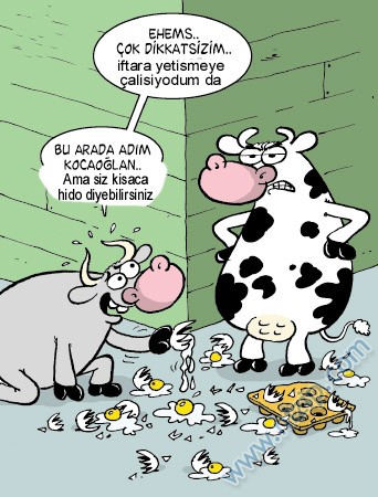 Sütaş karikatürleri Nizip.com'da Olursa.