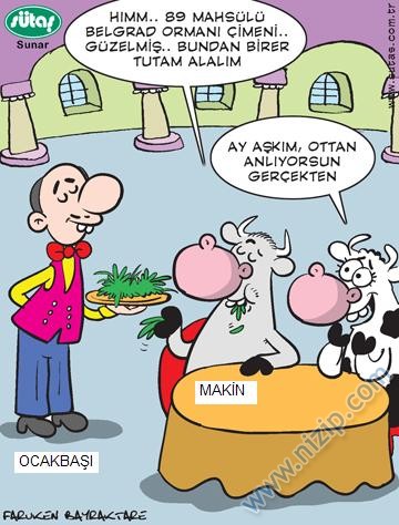 Sütaş karikatürleri Nizip.com'da Olursa.