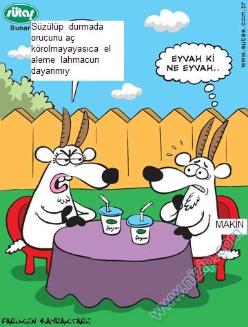 Sütaş karikatürleri Nizip.com'da Olursa.